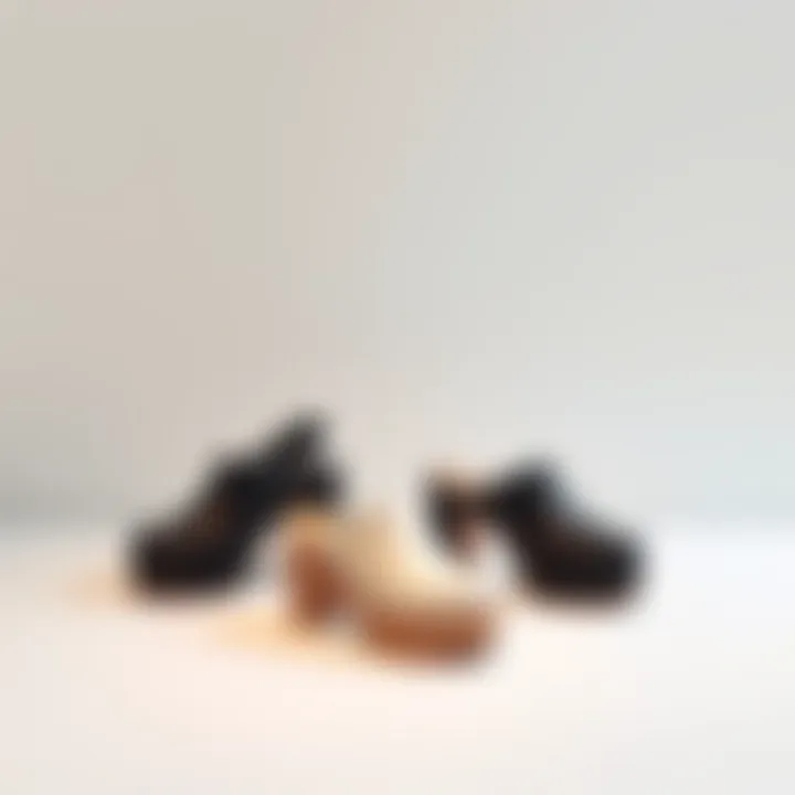 Minimalist Display of Balenciaga Clog Heels An elegant display of Balenciaga clog heels against a minimalist backdrop.