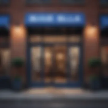 Chic Entrance Charm Bluebella NYC Stylish Storefront Entrance