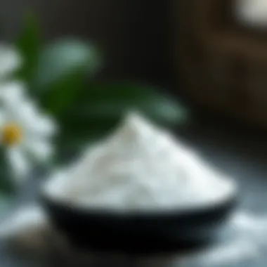 Natural ingredients for setting powders