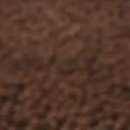 Illustration of various curl patterns