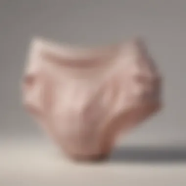 Diverse Styles of Large Gusset Underwear A stylish arrangement of various large gusset underwear styles displayed elegantly on a soft background.
