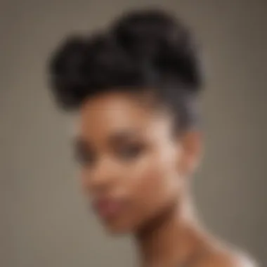 Sophisticated Updo for Natural Hair Protective hairstyle updo for natural hair