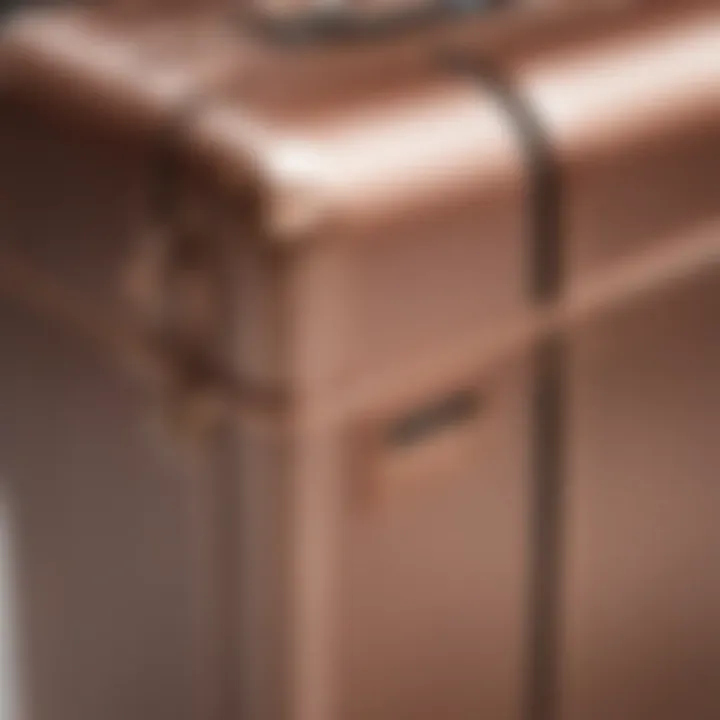 Close-up of the iFly Rose Gold luggage features and details