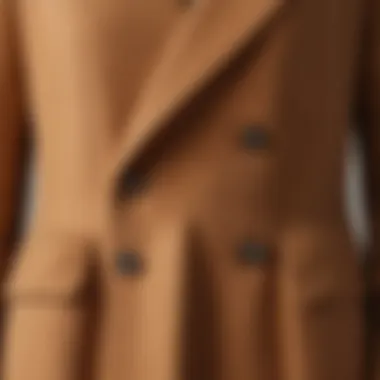 Exquisite Texture Detail of the Celine Camel Coat Close-up of luxurious Celine Camel Coat texture