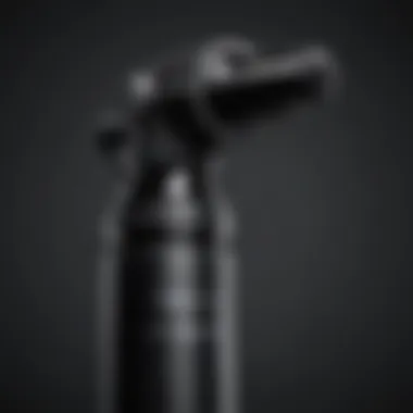 Elegant Design of Curling Iron Setting Spray A close-up of a curling iron setting spray bottle showcasing its elegant design.