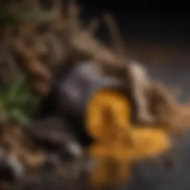 Natural Ingredients in Pressed Powders An array of natural ingredients used in pressed powders