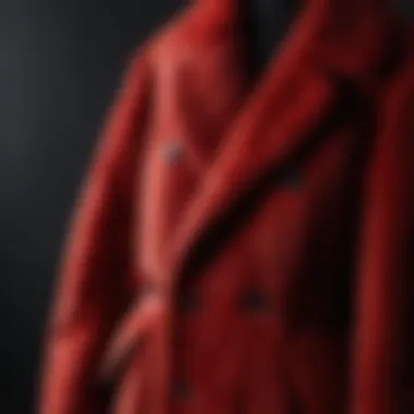 Close-up of the luxurious texture of a red teddy coat