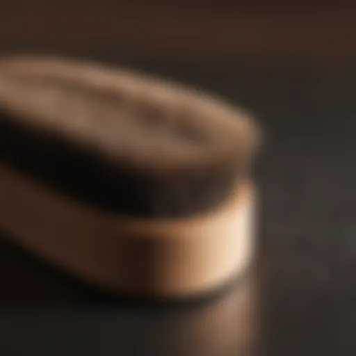 Close-up of a boar brush designed for fine hair