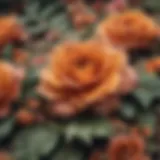 Vintage floral patterns on fabric