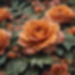 Vintage floral patterns on fabric