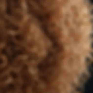 Understanding the Texture of Fine Frizzy Hair A close-up view of fine, frizzy hair showing texture and volume.