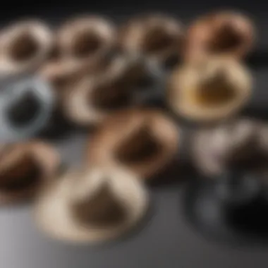 Variety of Summer Cancer Hats for Sun Protection Group of diverse hats providing sun protection