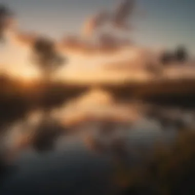 Enchanting sunset view over the Everglades expanse