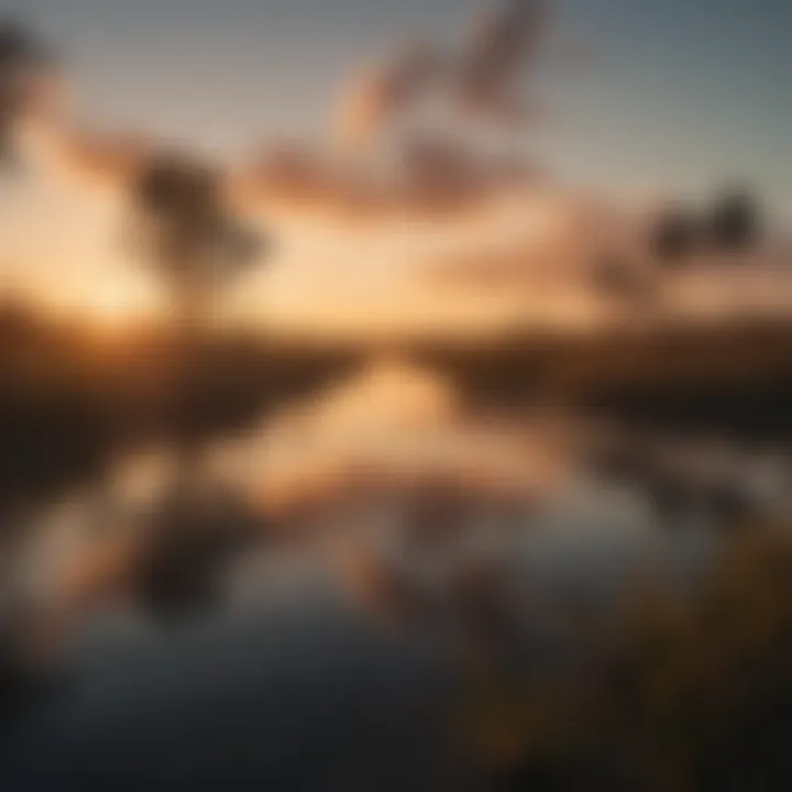 Enchanting sunset view over the Everglades expanse