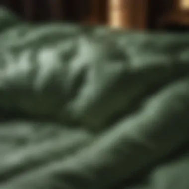 Green Living Comforter Choices Eco-friendly and sustainable comforter options