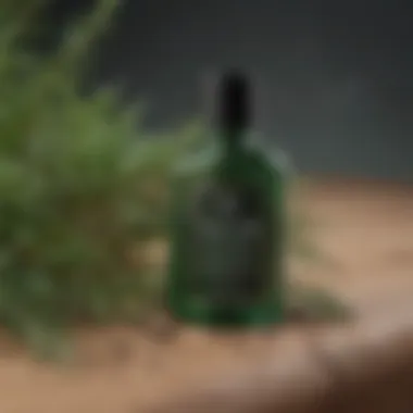 Revitalizing Tea Tree Oil Scalp Care Herbal Tea Tree Oil Shampoo for Dry and Itchy Scalp