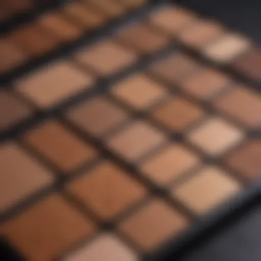 A close-up of different bronzer shades on a palette