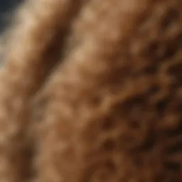Close-up of frizzy hair texture under natural light