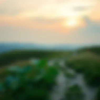 A serene landscape symbolizing personal growth and reflection